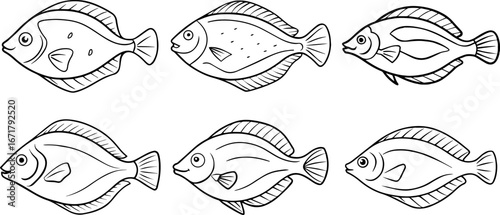 Set of flounder fish outline vector illustration line art