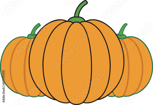 Three cartoon pumpkins with green stems and outlines on a white background