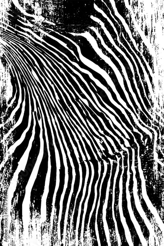 Grunge black and white seashell design for decor and art projects