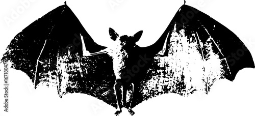 Grunge black and white skeletal bat silhouette for urban art and design projects