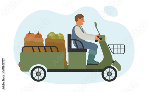 Harvesting. A farmer drives ripe pumpkins and cabbages on an electric scooter with a body. Vector illustration of rural works.