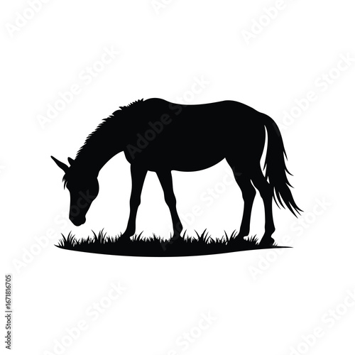 Silhouette of a grazing horse, peacefully eating grass in a field, unicorn grazing in field silhouette vector illustration