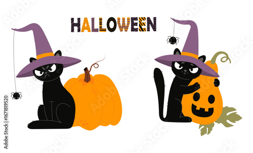 Cute Emotional Black Cat Halloween In Witch Hat With spider and Pumpkin lantern Jack Set. Isolated Cartoon Autumn holiday Funny Pet character. Vector illustration in flat style. Not AI