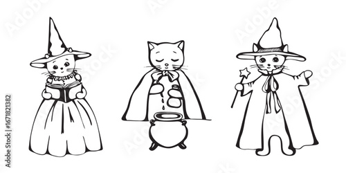 Cute Magic wizard cats with book, magic wand, hats and cauldron. Hand drawn doodle set 