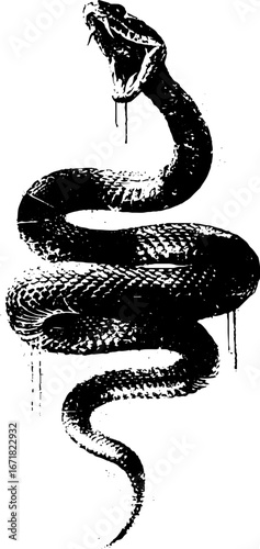 Grunge black and white snake fang design for urban art and tribal tattoo inspiration