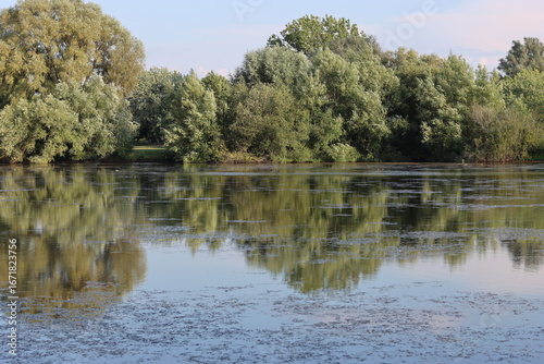View across a lake in summer, with tree reflections in the still water
