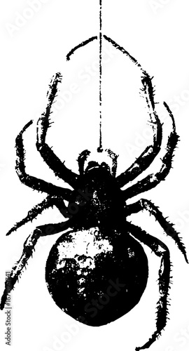 Grunge black and white spider illustration for urban design concepts