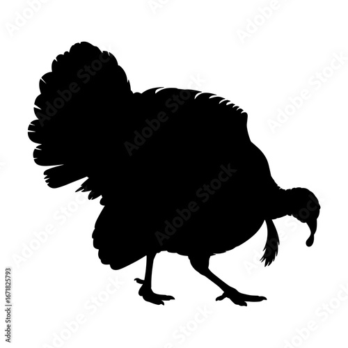 Turkey Silhouette Vector Illustration , Animal Silhouette Element