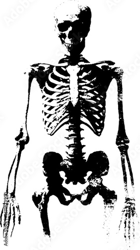 Grunge black and white x-ray style skeleton illustration for design