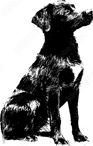 Grunge black and white silhouette of dog in x-ray style for urban art and design