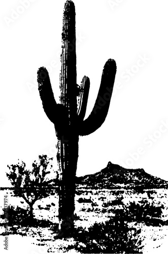 High contrast desert landscape with cactus silhouette for artistic decor