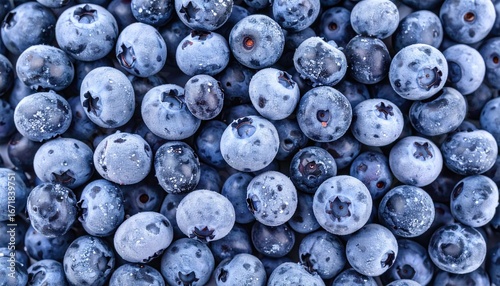 Frozen Blueberries