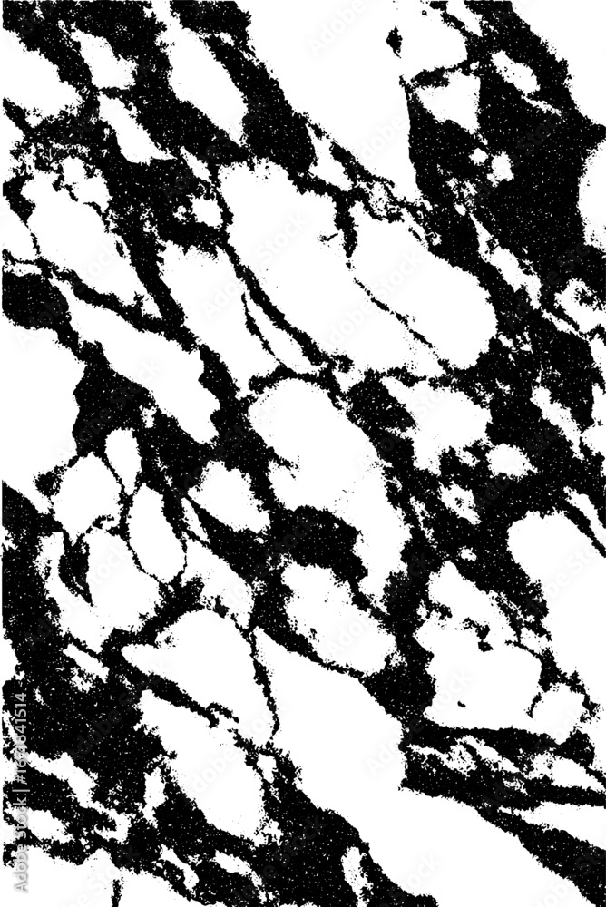 Fototapeta premium High contrast black and white stencil texture for creative design projects