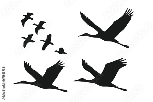 Migratory bird silhouettes vector icon set. Crane, stork, goose, and heron flock flying in formation. Wildlife aviation concept. Black bird shapes isolated on white background.