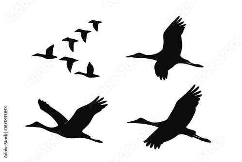 Migratory bird icon set. Black silhouettes of flying geese flock in V-formation, crane, and stork. Wildlife and nature vector illustration. Concept of freedom and season.