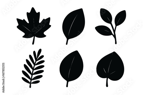 Set of black leaf silhouettes. Minimalist vector graphic icon collection. Botanical and nature-inspired design elements. Simple foliage, plant, maple, and fern shapes for eco logo.