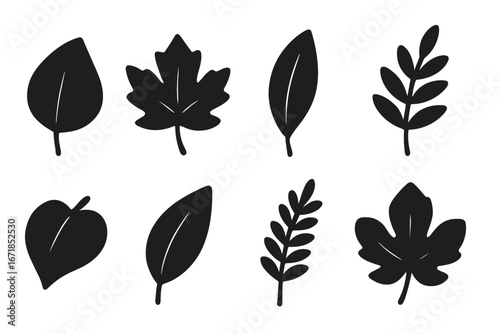 Set of black leaf silhouettes. Collection of simple vector leaf icons. Maple, fig tree, and other plant foliage shapes. Minimalist nature-inspired design elements for eco decor.