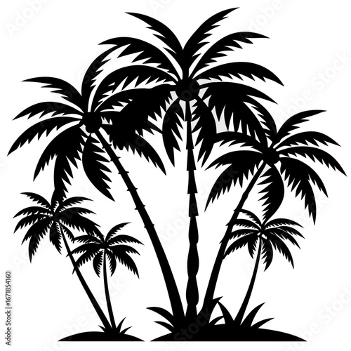 palm tree silhouette