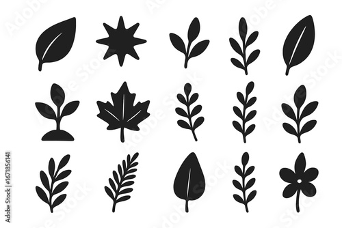 Leaf and plant silhouette icon set. Botanical nature vector graphics. Simple black floral and foliage elements. Maple leaf, flower, branch design assets for organic logo.