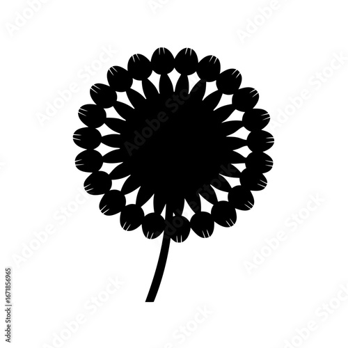 Abstract black dandelion flower illustration on a white background, botanical concept