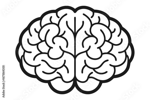 human brain vector