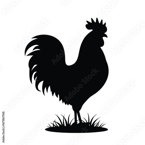 Black silhouette of a rooster standing in grass chicken 1