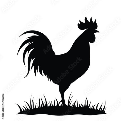 Black silhouette of a rooster standing in grass white background