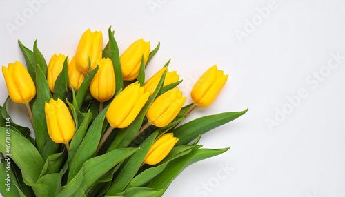 A bouquet of vibrant yellow tulips with green leaves blooms against a white background. Their fresh petals and radiant color evoke spring, renewal, and the joyful simplicity of natural beauty.