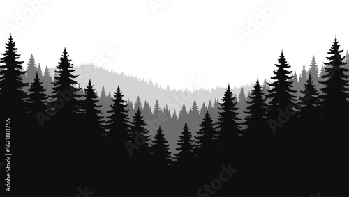 Dark Evergreen Forest Silhouette Landscape Background