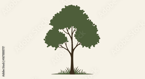 Silhouetted illustration of a deciduous tree with a simple, stylized design.