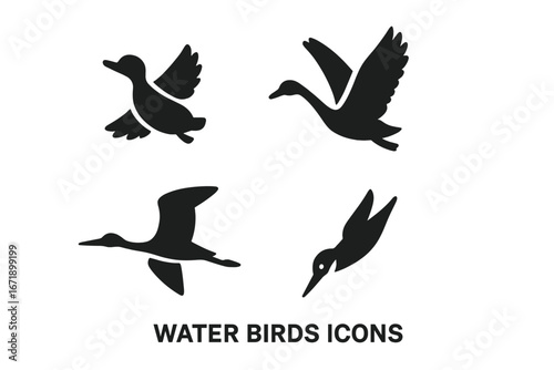 Water birds silhouette vector set. Solid icons of duck ascending, swan lifting, heron gliding, kingfisher diving, egret flying. Black waterfowl wildlife symbols isolated, migration animal collection.