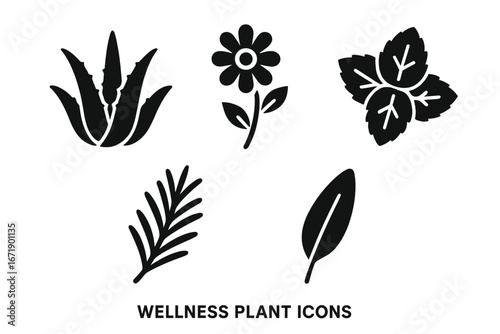 Wellness Plant Icon Set. Black Silhouette Vector Illustrations of Aloe Vera, Chamomile Flower, Mint Leaves, Rosemary Sprig, Sage Leaf. Herbal Medicine, Aromatherapy, Natural Remedy Plants.