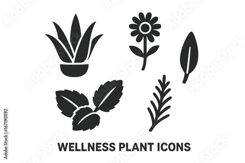 Wellness medicinal plant icons set. Solid black silhouette vector of aloe vera, chamomile flower, mint leaves, rosemary sprig, sage leaf. Herbal remedy botanical, natural health concept.