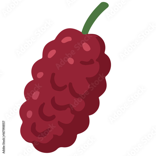 Mulberry fruit illustration in red color, isolated on white background, organic seasonal berry symbol for healthy fresh food.
