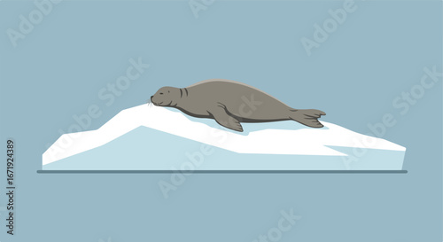 Seal Resting on Iceberg in Arctic