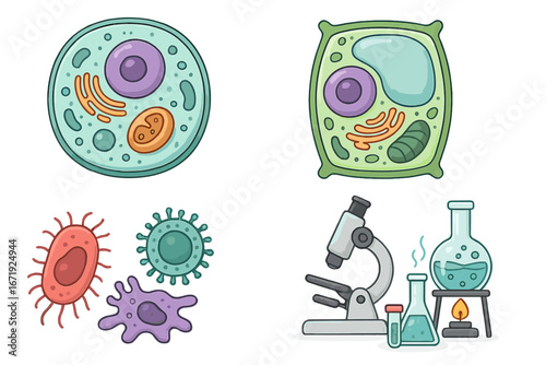 Scientific Illustrations of Cellular Structures and Laboratory Equipment for Education, Biology Classroom, Microscope, Cells, Science Study, Vector Cartoon Graphics