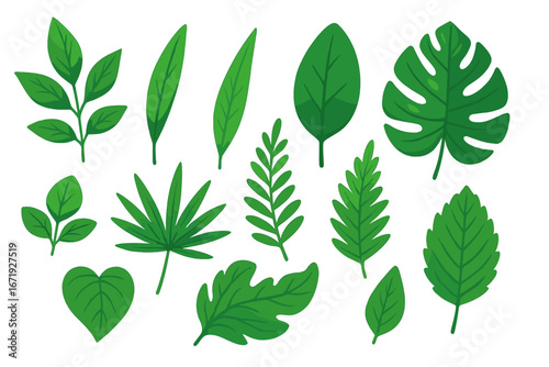 Diverse green leaves collection with varied shapes and shades, vibrant vector cartoon illustration showcasing natural botanical variety and foliage design elements on transparent background