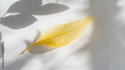 Soft yellow feather on clean white background with delicate shadows, minimal aesthetic, light airy composition, simplicity and elegance concept