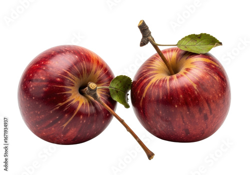 Two gnarled heirloom apples with mottled ruby red skin, long stems, and dried leaves, showcasing natural imperfections, isolated on a white background, macro studio shot. Rustic authenticity concept