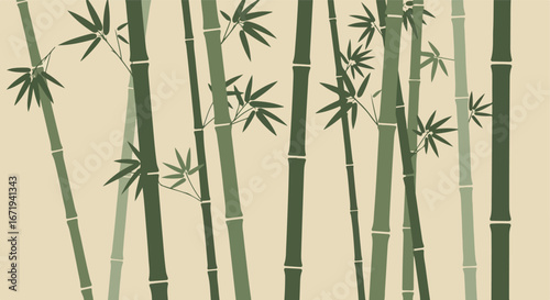 Bamboo stalks forming a dense thicket in natural environment