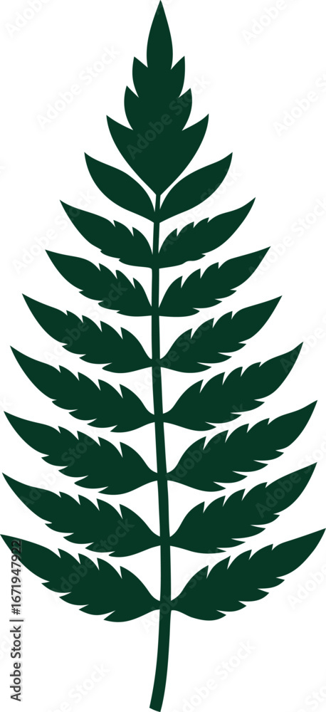 Obraz premium botanical fern leaf silhouette clipart on transparent background