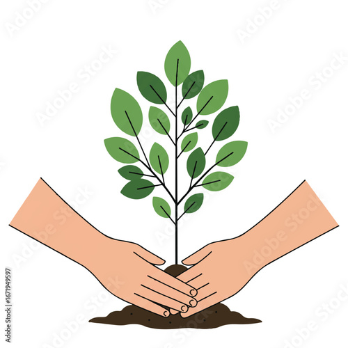 Hands carefully planting a young tree sapling in fertile soil, symbolizing growth and environmental stewardship for a sustainable future.