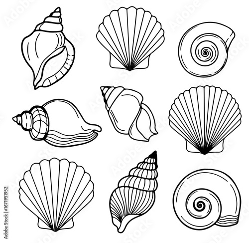 Set of hand drawn seashells drawing ink. Minimalist line art. Summer vacation design elements for trendy prints, label, menu cover. Tropical beach shells. Vector flat illustration.