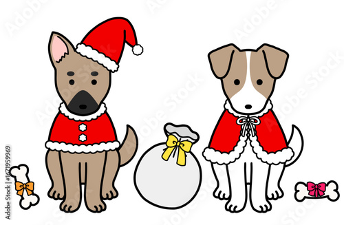 クリスマスコスチュームの犬・保護犬・雑種犬