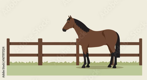 Horse Standing Calmly In a Paddock