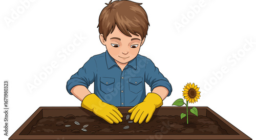 Cartoon Boy Planting Sunflower Seeds in Soil with Yellow Gloves