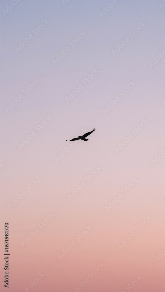 Obraz premium Minimalist pastel bird silhouette flying across pale morning sky