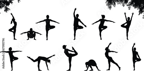 Yoga poses silhouettes, standing and floor positions, flexibility, balance, strength, outdoor tree background, fitness exercise, wellness art, meditation vector illustration