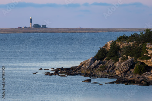 Rocky coastline with trees in the foreground and distant lighthouse on horizon across the calm blue sea
