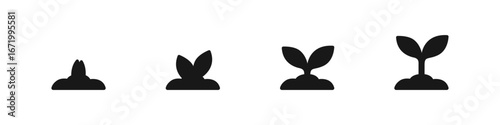 Seed growing process vector icon set